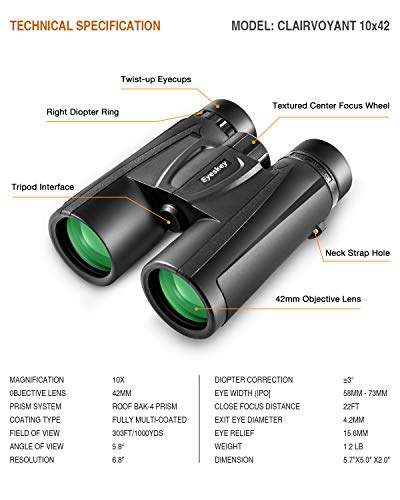 Eyeskey Fernglas für Erwachsene, 10 x 42, HD-Fernglas für Vogelbeobachtung, Reisen, Konzerte, Sportspiele, langlebig und… – Bild 3