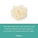 Earth's Recipe Moisture Bound Cream 50ml Anti Aging Day and Night Moisturizing Facial and Eye Cream with Tremella Mushroom Filled With White Jelly Natural Herbs Rich in Collagen and Active Ingredients