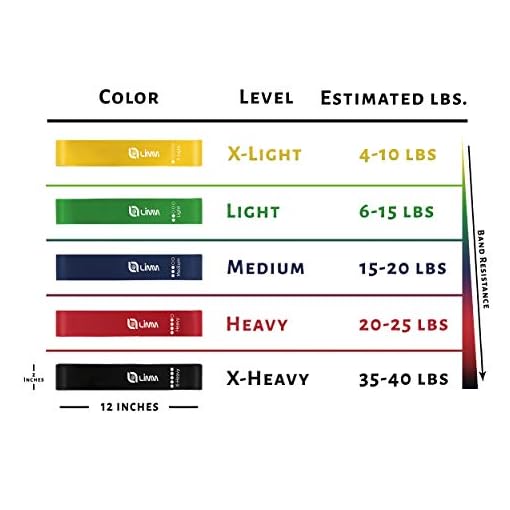 Limm Resistance Loop Exercise Bands - Set of 5 Stretch Bands for Working Out with Instruction Guide & Carry Bag… - Image 7