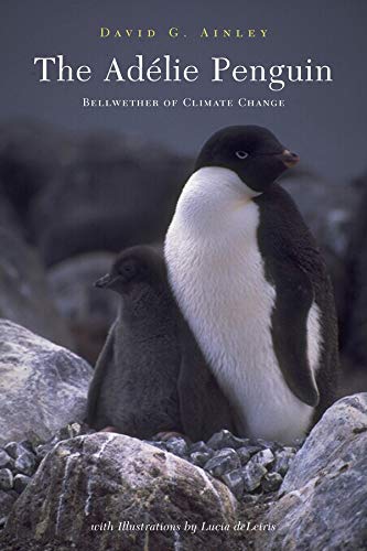 The Adelie Penguin Bellwether Of Climate Change Grupobelu Com