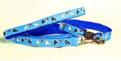 blue dog collar and lead