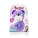 Pomsies Sydney Koala