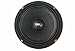 DS18 EXL-MM108 1000 Watt Competition-Grade Midrange Speaker