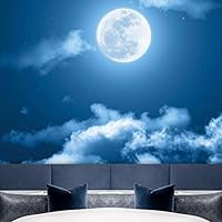 Wall Mural Stars and Moon in Night Sky Removable Self-Adhesive Wallpaper Wall Decoration for Bedroom Living Room - 66x96 inches