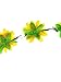 eBoot 6 Pieces Colorful Flower Headband Wreath Floral Crown Garland Headbands with Adjusting Ribbon for Festival Celebration Party