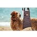 Dog Lift Harness, Dog Sling for Back Legs, Hind Leg Support Harness Recovery Sling for Canine Aid Arthritis Hip and ACL Brace Paralysis Eldery Dogs Walk Ligament Rehabilitation XL Grey