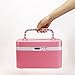 EVERTOP Pink Storage Box with Combination Lock and Separate Compartments,Plastic Storage Box for Medicine(Pink)