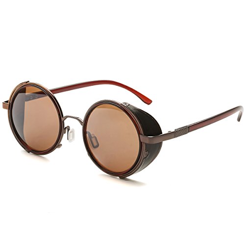 Dollger Steampunk Vintage Retro Sunglasses Metal Circle Frame (Brown Lens+Brown Frame, 100% UV Protection Lens)