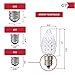 Holiday Lighting Outlet Faceted C7 Christmas Lights | Sun Warm White LED Light Bulbs Holiday Decoration | Warm Christmas Decor for Indoor & Outdoor Use | 2 SMD LEDs in Each Light Bulb | Set of 25