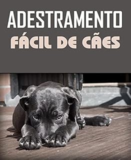 Adestramento fácil de cães