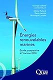 Energies renouvelables marines: Etude prospective à l'horizon 2030. (QUAE GIE) (French Edition) by