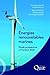 Energies renouvelables marines: Etude prospective à l'horizon 2030. (QUAE GIE) (French Edition) by