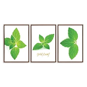 3 Piece Framed Canvas Wall Art for Living Room, Bedroom Green Plants Theme Canvas Prints for Home Decoration Ready to Hang - 16"x24"x3 Panels