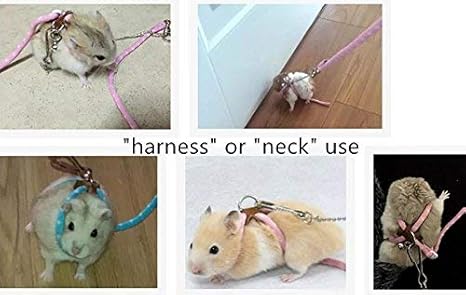 syrian hamster leash