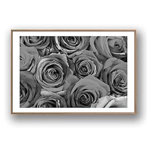 Framed Canvas Wall Art for Living Room, Bedroom Rose Flowers Canvas Prints for Modern Home Decoration Ready to Hang - 16"x24" inches