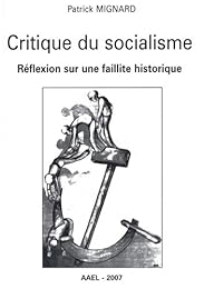 Critique du socialisme
