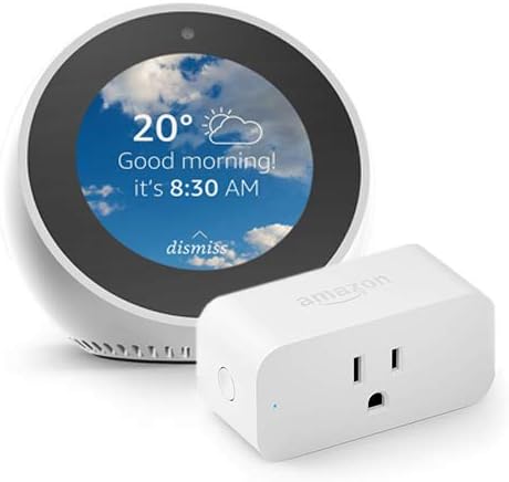 echo spot smart plug