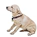 SCENEREAL Large Dog Collar Bell for Training, Hiking, Walking, Hunting(Bear Bell, Cow Bell)