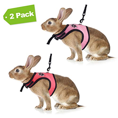 The 10 Best Breathable Bunny Harness of (2019) Buyer's Guide Best