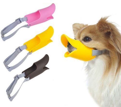chihuahua duck muzzle