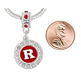 georgia bulldog croc charm