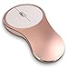 HaloVa Wireless Mouse, Aluminum Alloy Portable Soundless Optical Mice with 2.4G USB Receiver for Mac, Laptop, Tablet, Macbook, Notebook, PC, Rose Gold