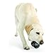 Outward Hound Planet Dog Orbee-Tuff Holiday Lump of Coal Grey Treat-Dispensing Dog Toy
