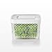 OXO Good Grips GreenSaver Produce Keeper - Medium, pack of 2