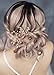 FXmimior Wedding Headpiece Crystal Rhinestone Hair Comb Hair Accessories for Bridal Bridesmaid Women (rose gold)