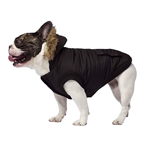 Canada Pooch North Pole Parka, Black, Size 12