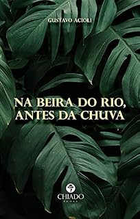 Livro Na beira do rio, antes da chuva