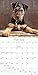 2019 Avalon Wall Calendar, Puppies, 12 x 12 inches (84439)