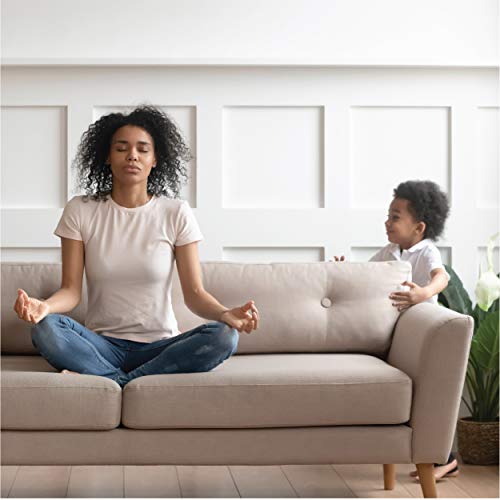 jergens eucalyptus body butter