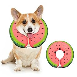 Dog Cone Collar for Small Medium Large Dogs for