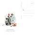 60 Postcards - Watercolor Birthday Animal - 6 Different Images