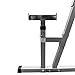 Valor Fitness BD-6 Squat and Bench Press Rack with Adjustable Safety Catch and Storage Pegs for Olympic Plates