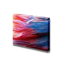 Siamese Fighting Fish Wall Decor