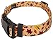 Country Brook Petz – Deluxe Fall Foliage Dog Collar – Awesome Autumn Collection with 6 Designs You’ll Fall for (1 Inch, Large)thumb 2
