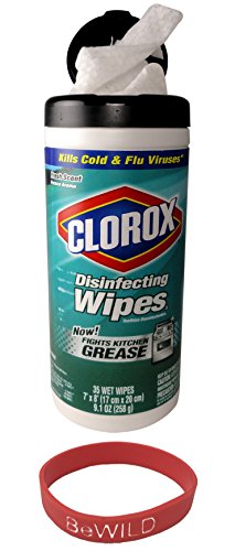 Clorox Fresh Scent Disinfecting Wipe Diversion Safe (Wipes Included) and Bewild® Bracelet