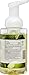 CleanWell Natural Antibacterial Foaming Hand Soap - Spearmint Lime, 9.5 Ounce (Pack of 4)