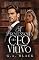 Livro A Professora do CEO Viúvo