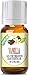 Vanilla 100% Pure, Best Therapeutic Grade Essential Oil - 10ml