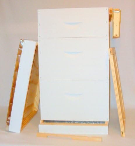 GreenBeehives Beehive Starter Set