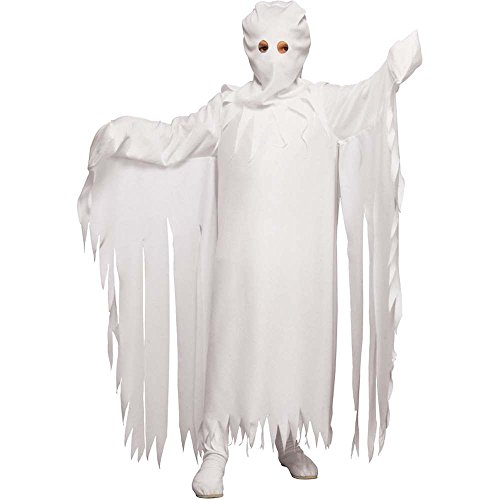 Rubie's Costume Co Ghostly Spirit Costume