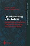 Dynamic Modelling of Gas