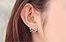 VANVENE Womens Fashion Gold Plated Leaf Crystal Ear Jacket Double Sided Swing Stud Earrings Gift Back Cuff Stud Earring (Rose Gold)