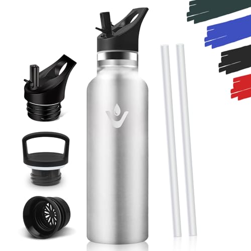 Drinking Bottle 750 ml, BPA-Free, Leak-Proof Insulated Flask, Double-Walled, Water Bottle with Straw, 18/8 Stainless Steel, Thermal Flask Suitable for Carbonated Drinks, Stainless Steel