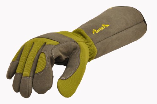 2 2431L+Florist+gardening+Pruning+Resistant