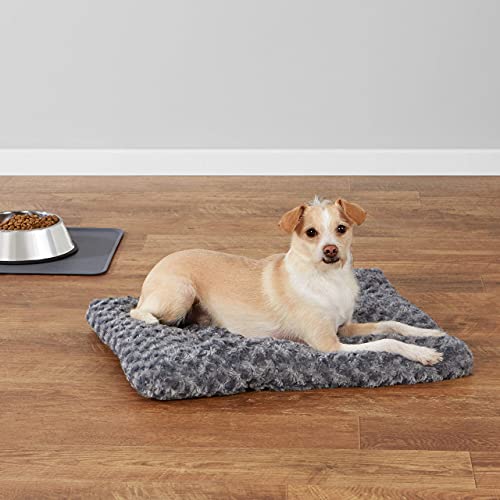 x small dog bed