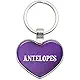 Metal Keychain Key Chain Ring Purple I Love Heart Animals A-D - Capybaras
